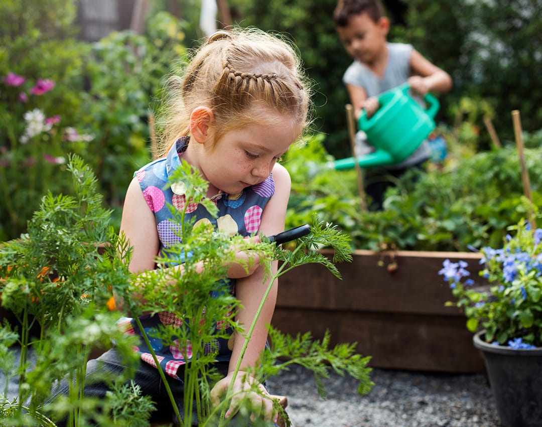 Pós-Graduação em Educação Ambiental